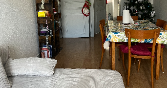 lisa pet sitter à STRASBOURG 67000_3