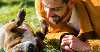 julien pet sitter à CUSSAC SUR LOIRE 43370_4