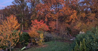 camille  pet sitter à VARENNES JARCY 91480_2