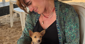 zoe pet sitter à VITRY SUR SEINE 94400_1