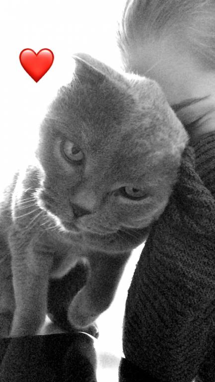 Èvann pet sitter à Paris 75006_6