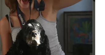 emma-rose dog sitter à LYON 01 69001