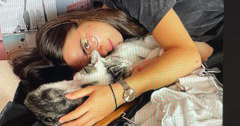 manon pet sitter à NOYELLES LES SECLIN 59139_1