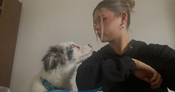 emeline pet sitter à MONTIGNY LES METZ 57950_3