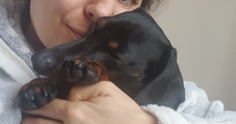 hanaa pet sitter à MONTREUIL 93100_4