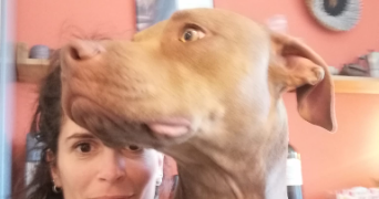 anna pet sitter à VERSAILLES 78000_5