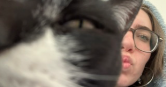 maewenn pet sitter à RENNES 35000_3