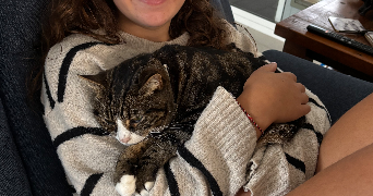 justine pet sitter à NICE 06000_4