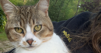 salome pet sitter à RUEIL MALMAISON 92500_1