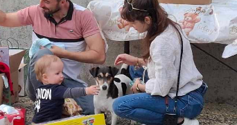 manon pet sitter à NEUVILLE SUR SAONE 69250_2