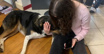 loula pet sitter à VICHY 03200_3