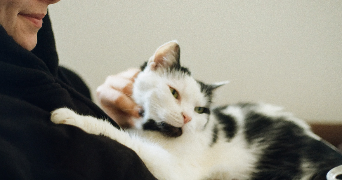 vanessa pet sitter à MARSEILLE 06 13006_5