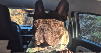 léa pet sitter à PALAISEAU 91120_9