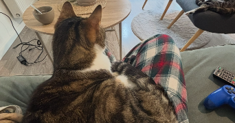 emma pet sitter à AMIENS 80000_5