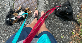 bénédicte pet sitter à Seytroux 74430_5