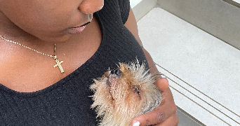 lyce ornella pet sitter à LE HAVRE 76600_1