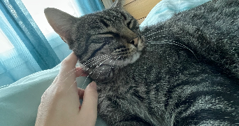 ines pet sitter à BORDEAUX 33000_2