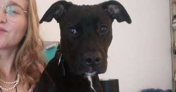 Danaé pet sitter à Viry 74580_3