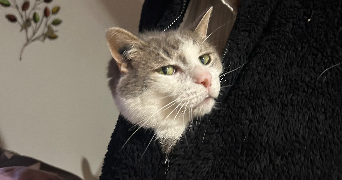 chloé pet sitter à Vincennes 94300_6