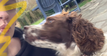 sonia  pet sitter à ST PRIX 95390_1