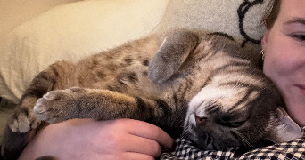 anabel cat sitter à PARIS 07 75007_3