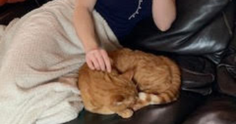 elisa pet sitter à BARNEVILLE SUR SEINE 27310_1