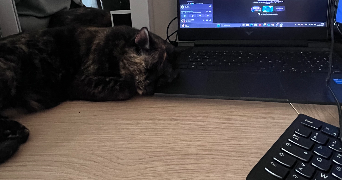 morgane pet sitter à RENNES 35000_6