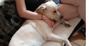 laure pet sitter à GUJAN MESTRAS 33470_2