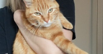 emilie pet sitter à CRECHES SUR SAONE 71680_0