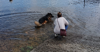Eva pet sitter à Silfiac  56480_3
