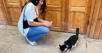 imane pet sitter à CHEVIGNY ST SAUVEUR 21800_1