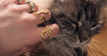 alisée pet sitter à PLOMBIERES LES DIJON 21370_6
