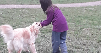 yannick pet sitter à DORLISHEIM 67120_1