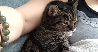 nathalie pet sitter à ROSNY SOUS BOIS 93110_2
