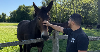 arsen pet sitter à FONTENAY AUX ROSES 92260_1
