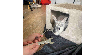 agate pet sitter à PARIS 13 75013_2