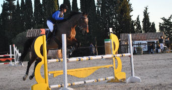 marion pet sitter à BORDEAUX 33800_0