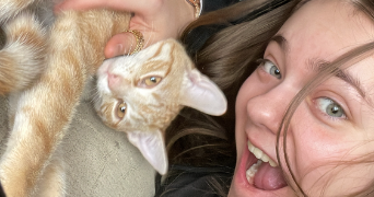 noa pet sitter à STRASBOURG 67200_1