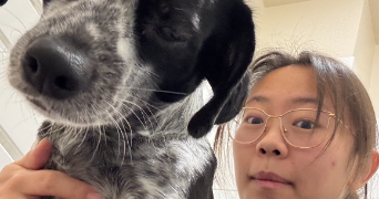 xianli dog sitter à LA GARENNE COLOMBES 92250_3