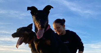 séréna pet sitter à LA MEILLERAIE TILLAY 85700_0