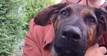 morgane pet sitter à ST VERAIN 58310
