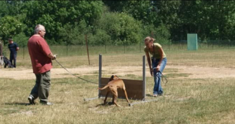 astrid pet sitter à BEAUVAIS 60000_3