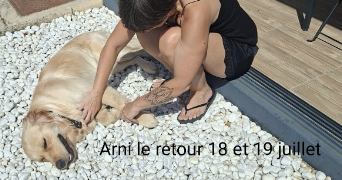 corine pet sitter à MARSEILLE 12 13012_4