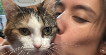 melodie pet sitter à BOIS COLOMBES 92270_1