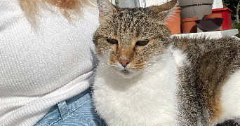 flavie pet sitter à PERPIGNAN 66000_1