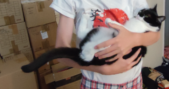 socorro  pet sitter à PARIS 17 75017_2