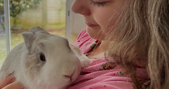 lou-elise pet sitter à CINTRAY 28300_1