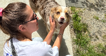 gwladys dog sitter à TOULOUSE 31000_2