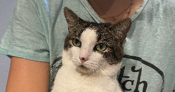 ninon pet sitter à PARIS 14 75014_2