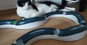 céline  pet sitter à LAMPERTHEIM 67450_6